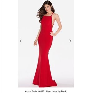 Alyce Paris Maxi Dress